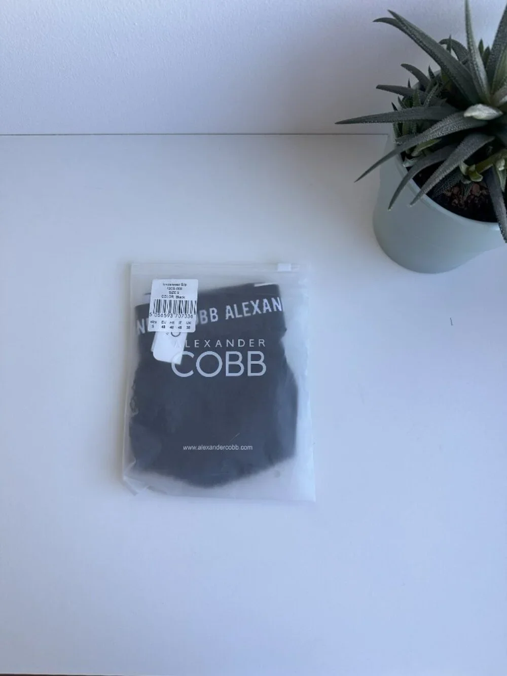 Alexander Cobb - Transparent Slip Brief - Black (S)